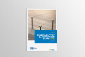 Cover of the SRB Resolvability REPORT
